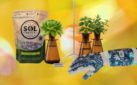 15 Best Gifts for Plant Lovers and Gardeners (2026)