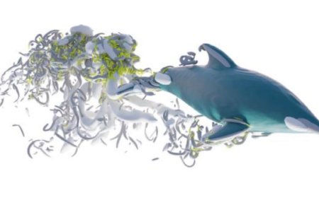 Research roundup: 6 cool science stories we almost missed