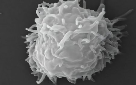 Man dies covered in necrotic lesions after amoebas eat him alive
