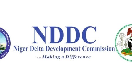 NDDC Launches AI and Drone Technology Training for Staff