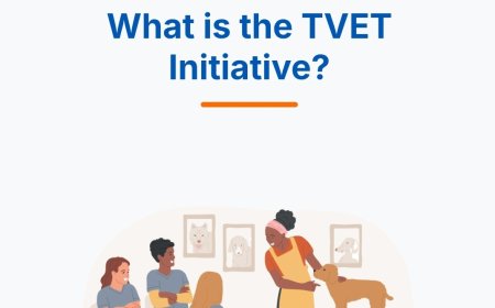 Nigeria Launches 2026 FG TVET Programme: Free Skills Training, ₦22,500 Monthly Stipend & Startup Support