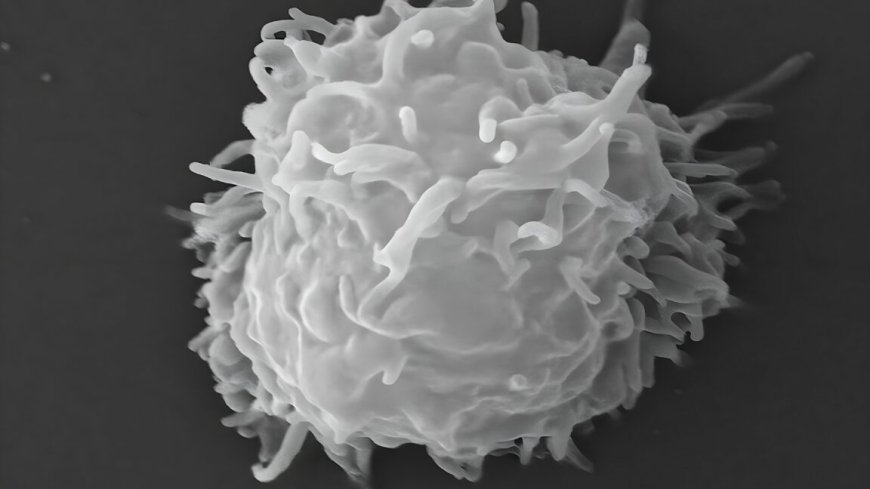 Man dies covered in necrotic lesions after amoebas eat him alive