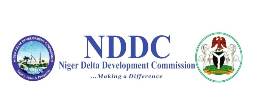 NDDC Launches AI and Drone Technology Training for Staff
